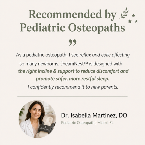 The Haven™ Baby Lounger