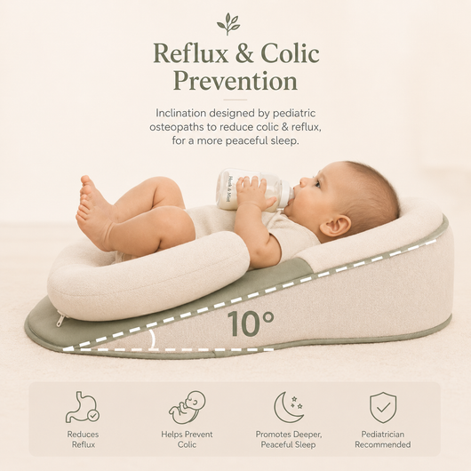 The Haven™ Baby Lounger